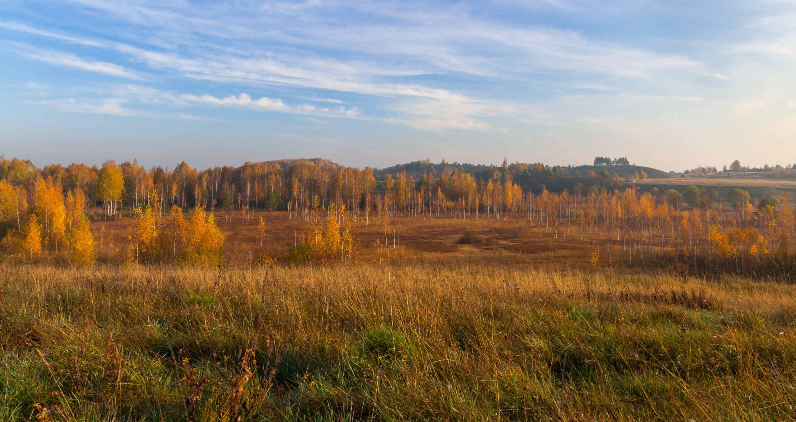 pskov, pleskau, псков, изборск, изборскомальскаядолина, псковскаяобласть, landscape, природа, nature, утро, morning, осень, autumn, Мержанов Дима