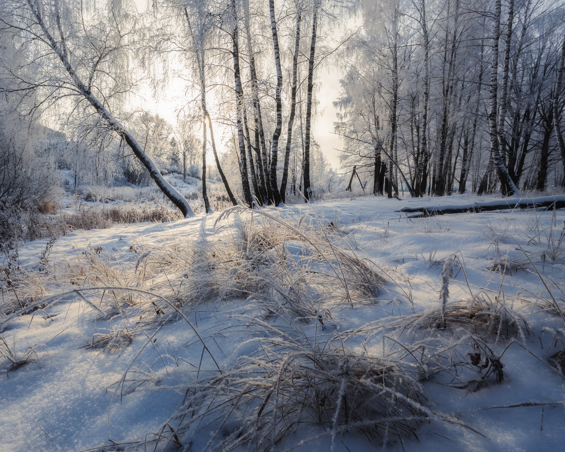 природа, пейзаж, зима, мороз, Мартыненко Дмитрий