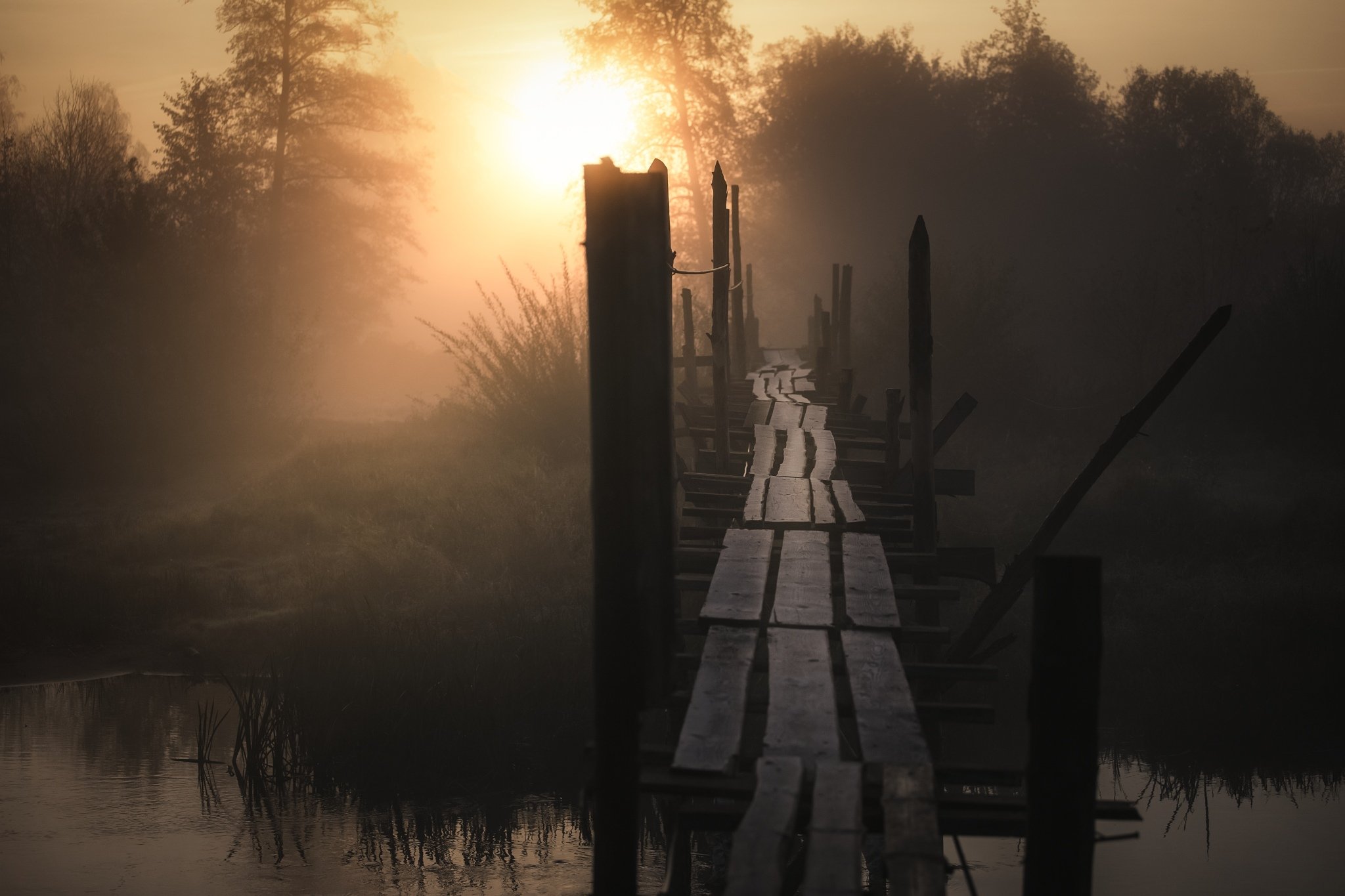river, morning, sunrise, bridge, nature, sun,, Pawel Olejniczak