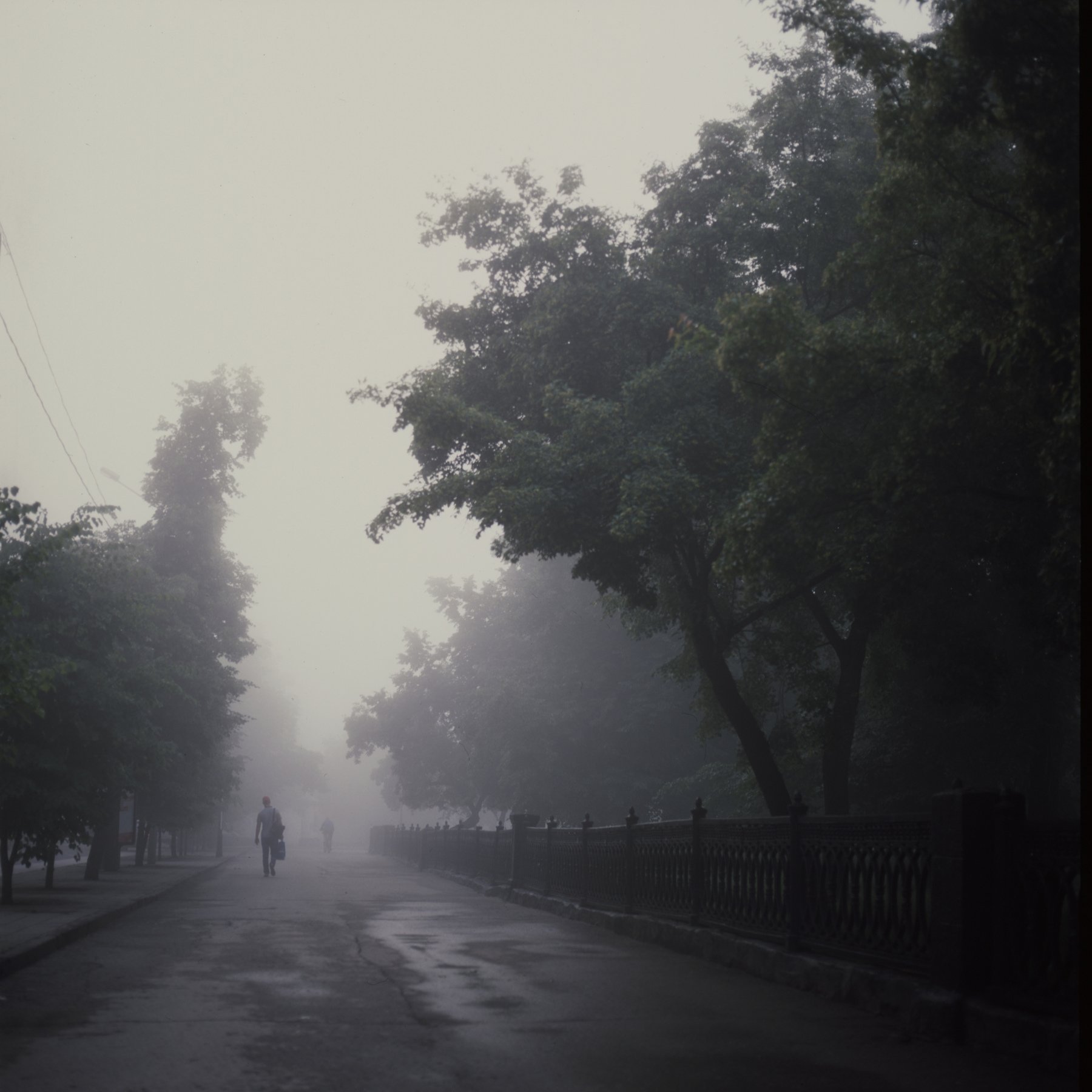 fog, film, novosibirsk, Evgeny Ivanov