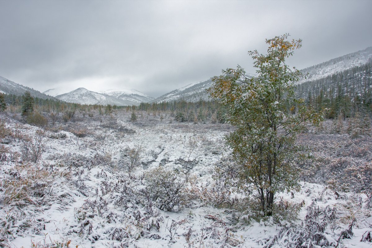 , Николай Андреев