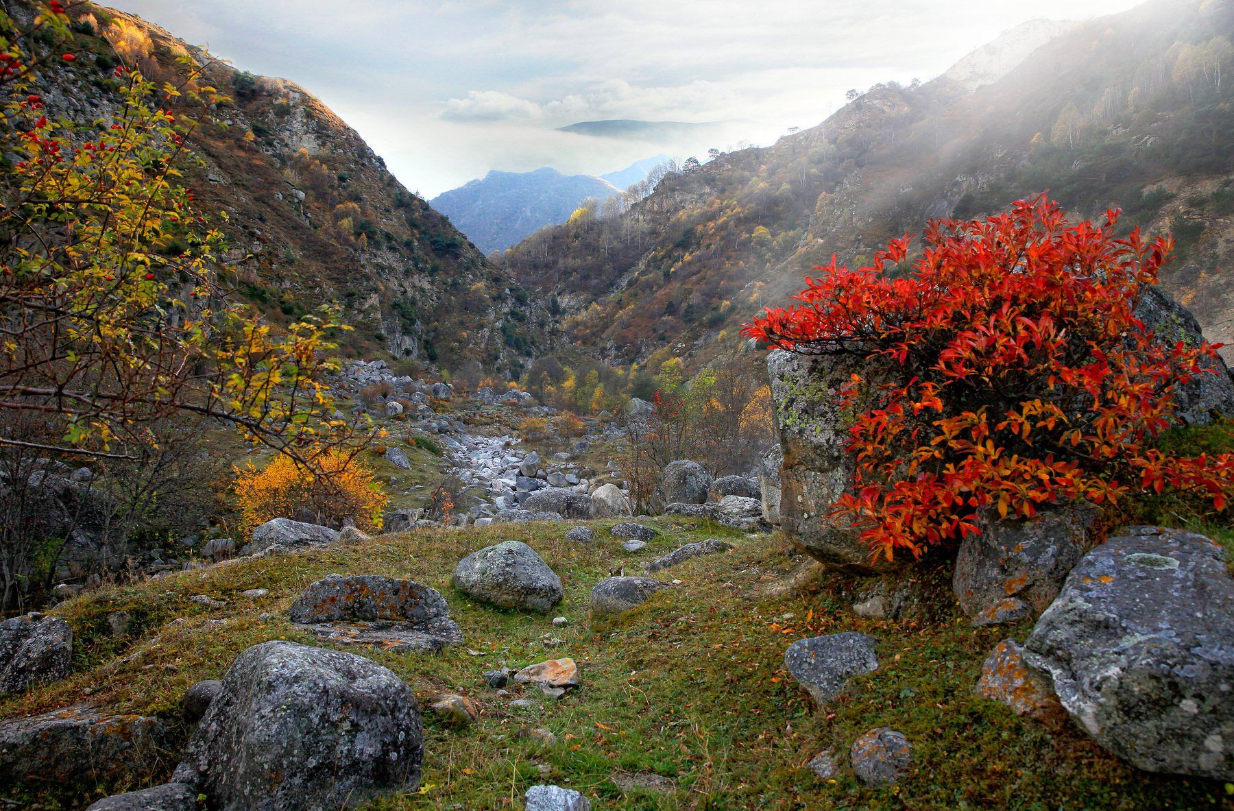 верхняя балкария,осень,пейзаж, Marat Magov