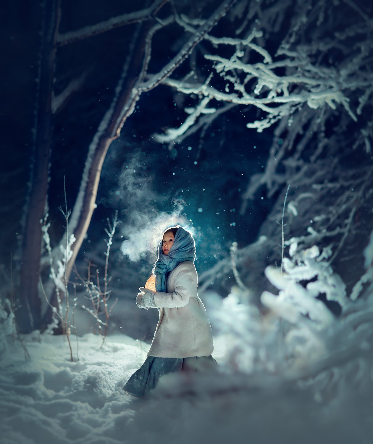 #winter #girl #night #magic#cold #lights #snow #ice #snowing #instawinter #wintertime #christmas #fairy #fairytale #woodland #wonderland #stars #nightphotography #dark #fantasy #xmas #december #magic, Катрин Белоцерковская
