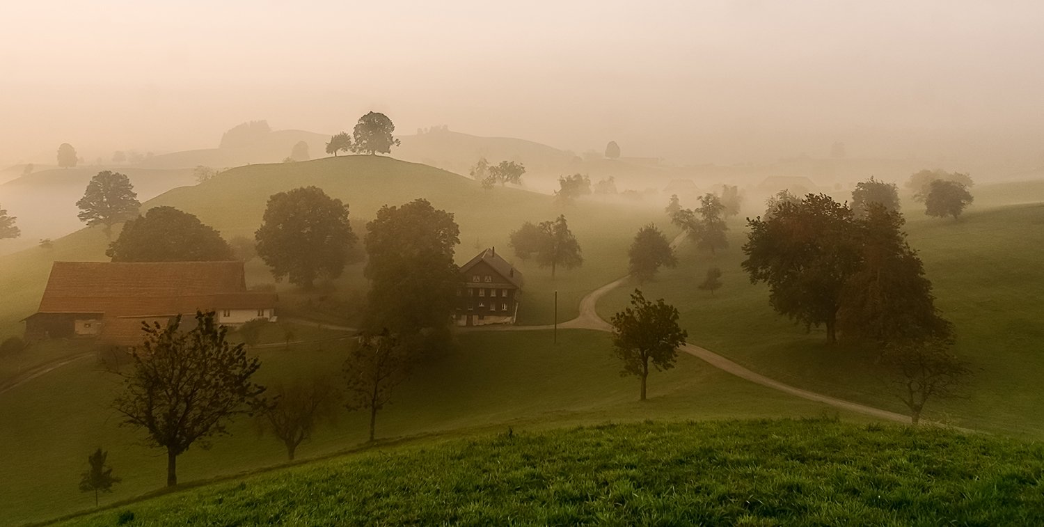 , Лариса Николаевна Дука