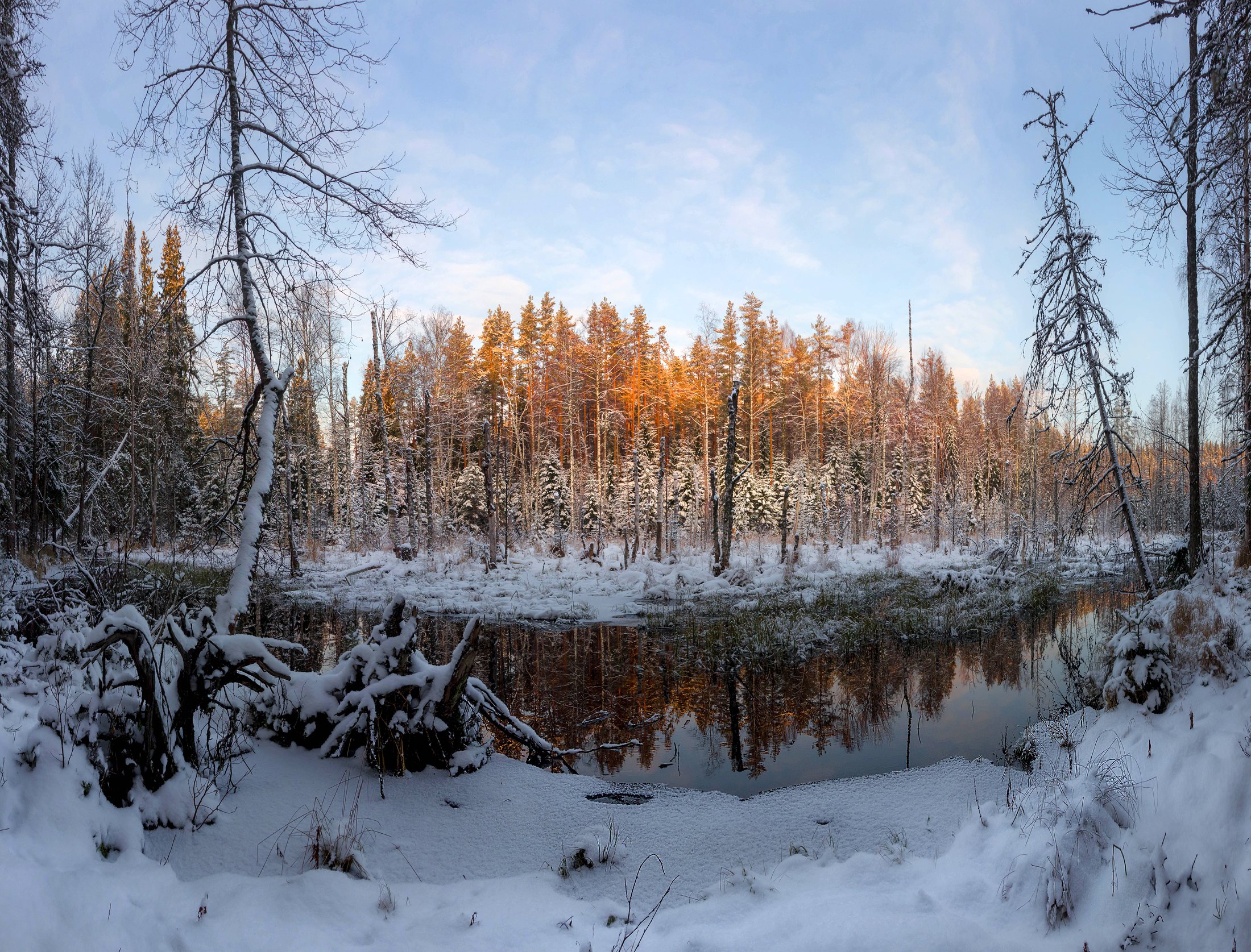 болото, река, зима, снег, бобры, Павел Ващенков