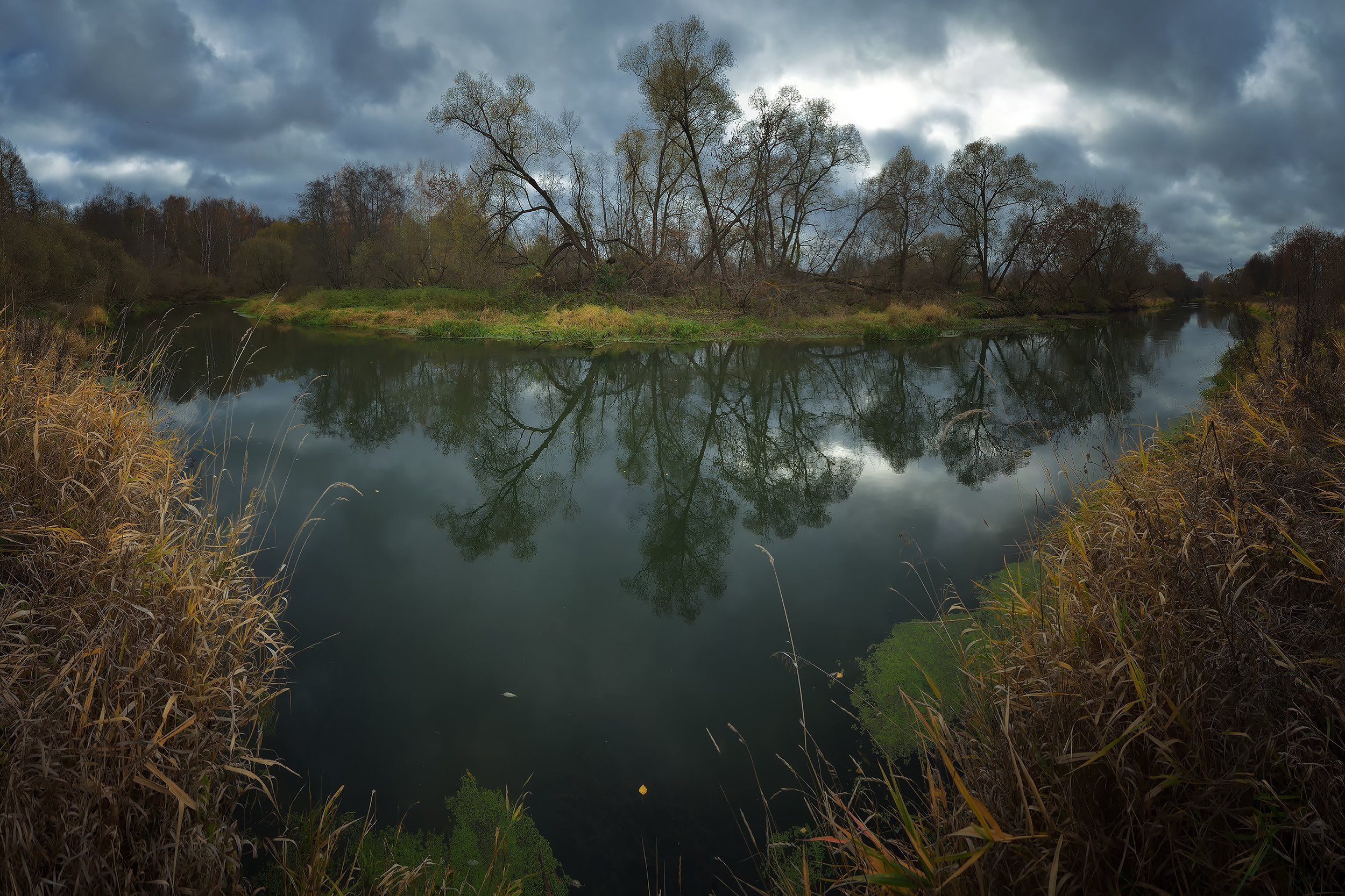 лес, природа, пейзаж, осень, река, вода, ручей, подмосковье, Алексей Никонов