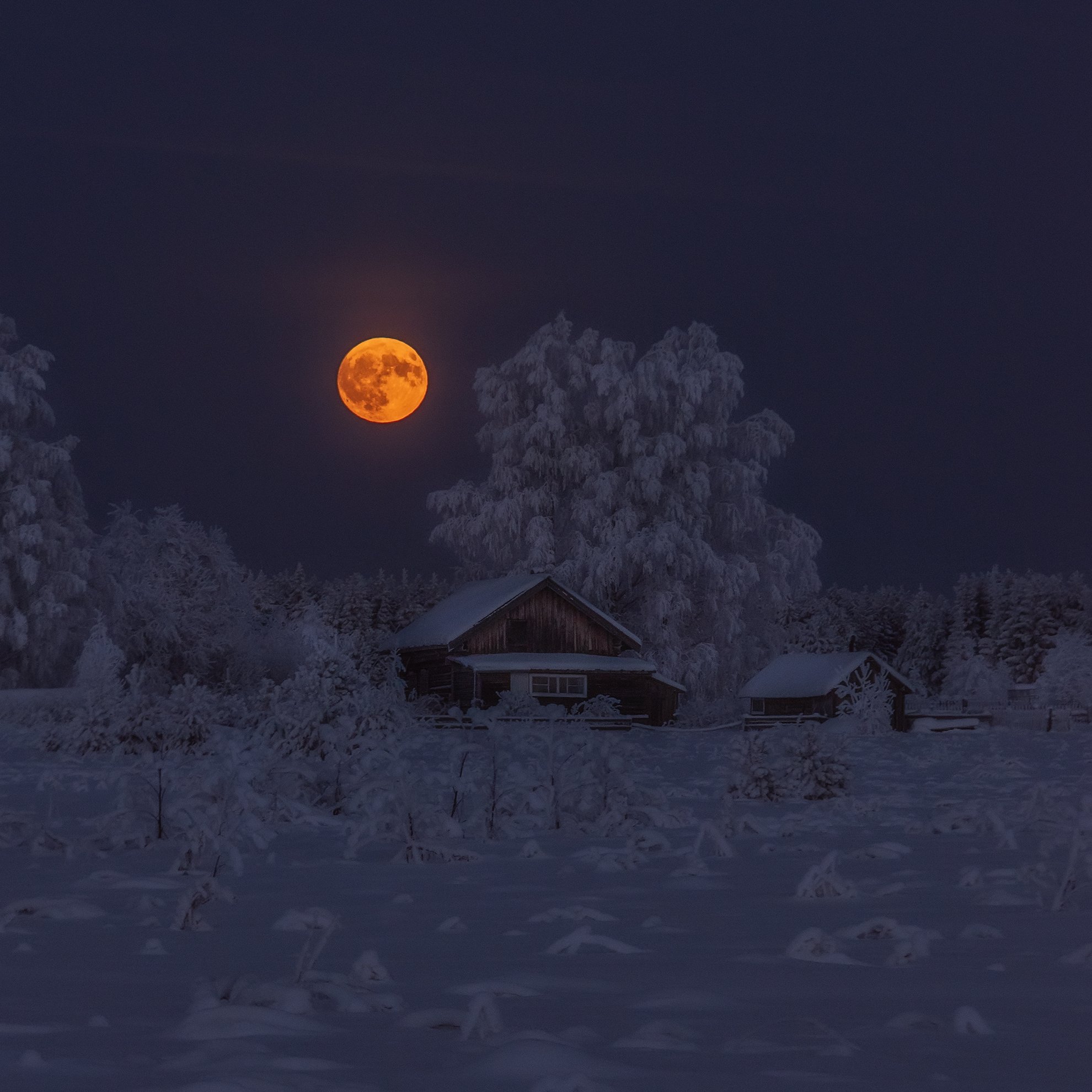 moon, village, russia, winter, зима, деревня, полнолуние, восход луны, лес, Алексей Юницын