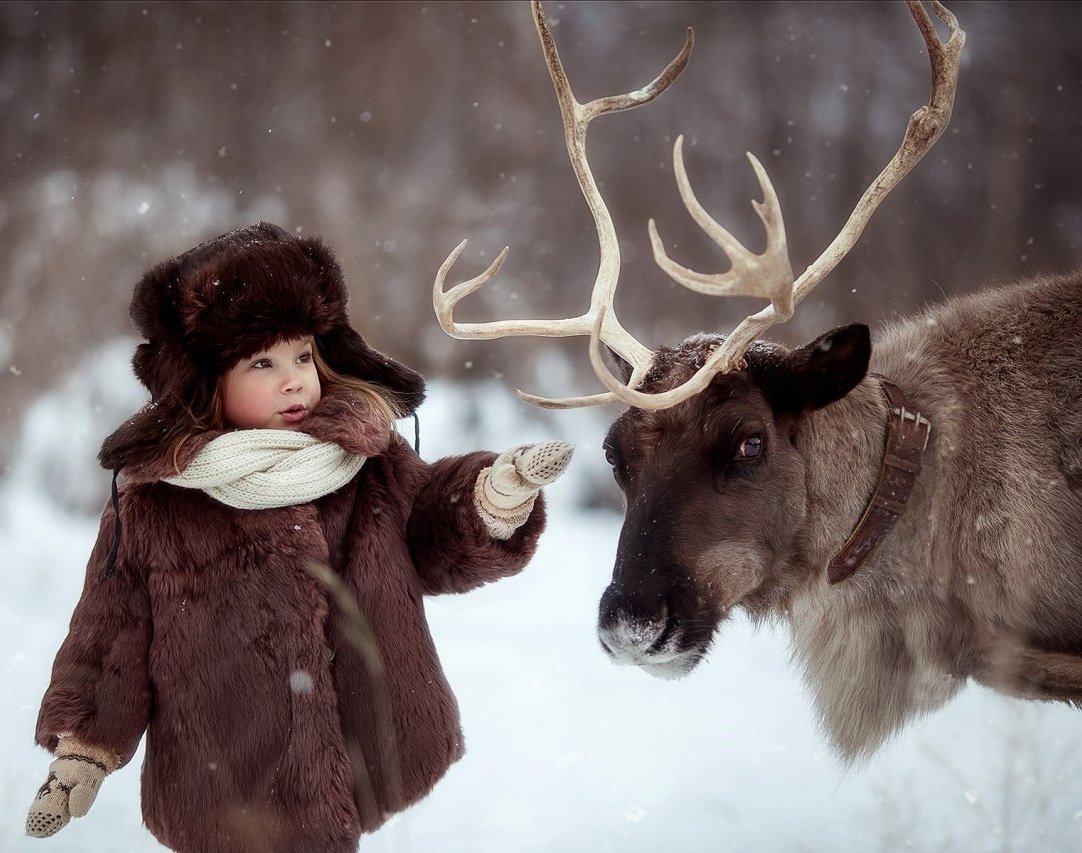 олень, рождество, дети, зима, сказка, лес, снег, Марина Петра