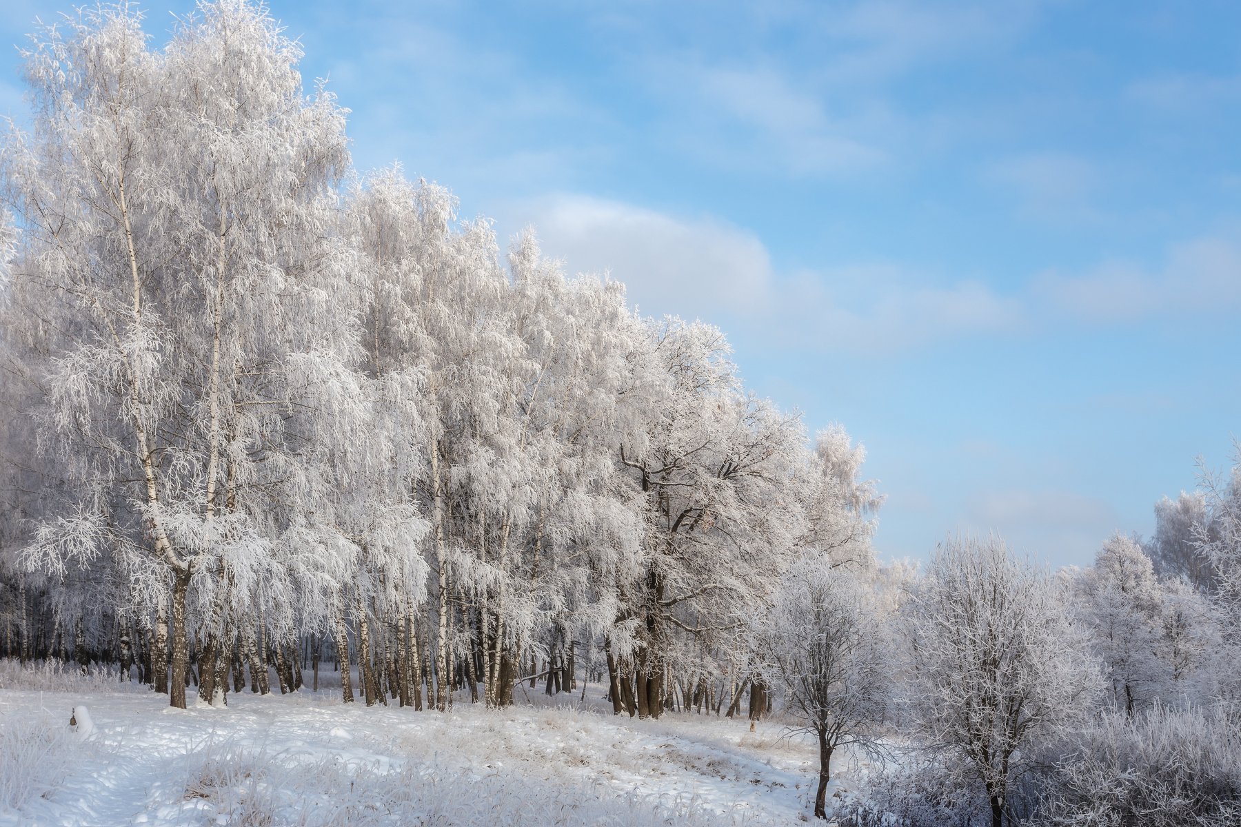 природа, зима, пейзаж, landscape, nature, Мартыненко Дмитрий