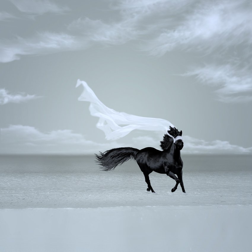 horse, scarf, running, beach, sand, water, ocean, clouds, wind, splash, sky, Caras Ionut
