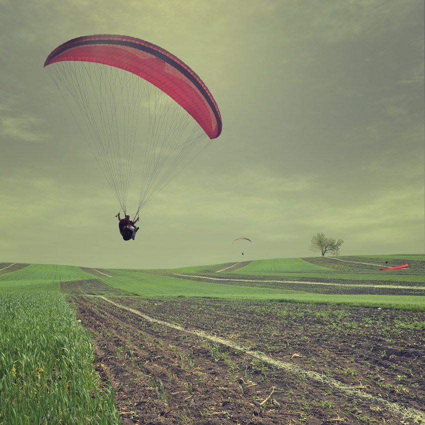 paragliding, man, landing, country, green, grass, wheat, tree, sky, clouds, light, warm, Caras Ionut