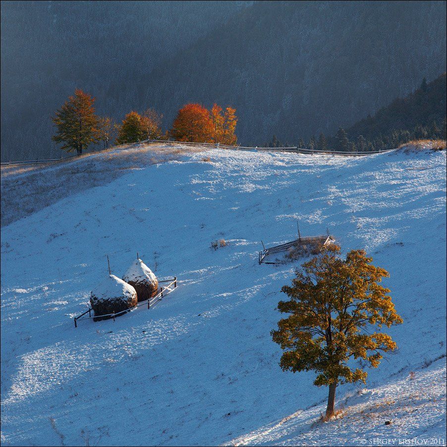 карпаты, горы, утро, осень, снег, дземброня, Сергей Ершов