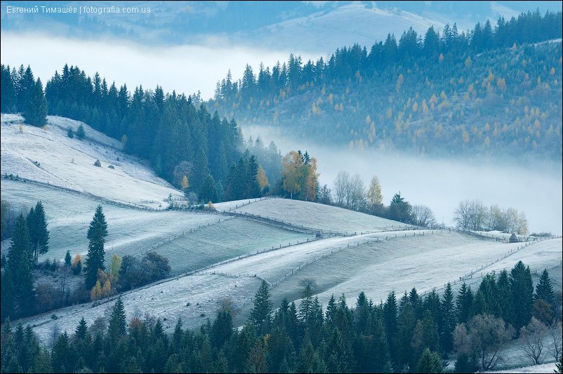 карпаты, горы, Евгений Тимашёв