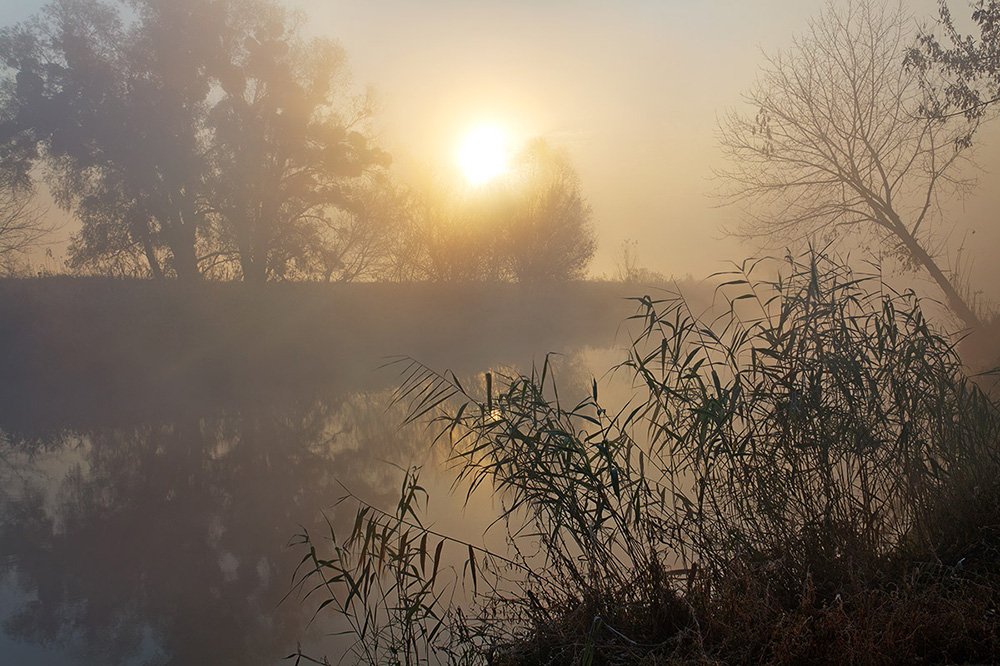 утро, осень, восход, солнце, река, туман, Владимир Костылев