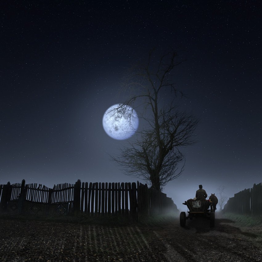 cart, moon, full moon, alone, man, horse, tree, sky, star, shadow, light, Caras Ionut
