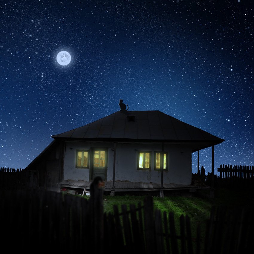 cat, house, light, stars, fence, abandoned, light, roof, inside, alone, goat, Caras Ionut