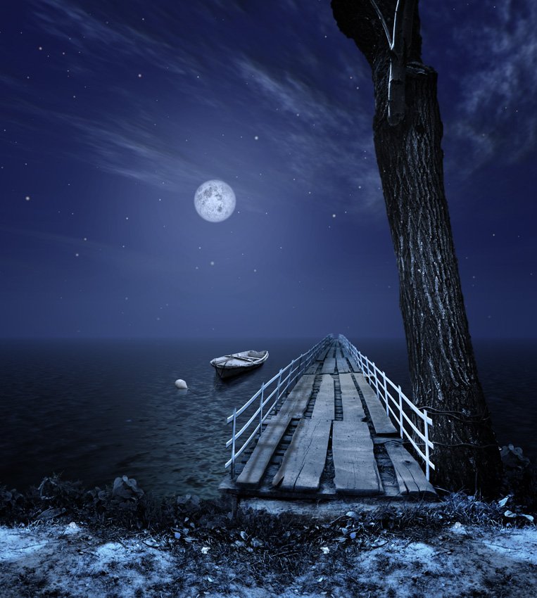 boat, night, moon, bridge, tree, ir, grass, flowers, rails,, Caras Ionut