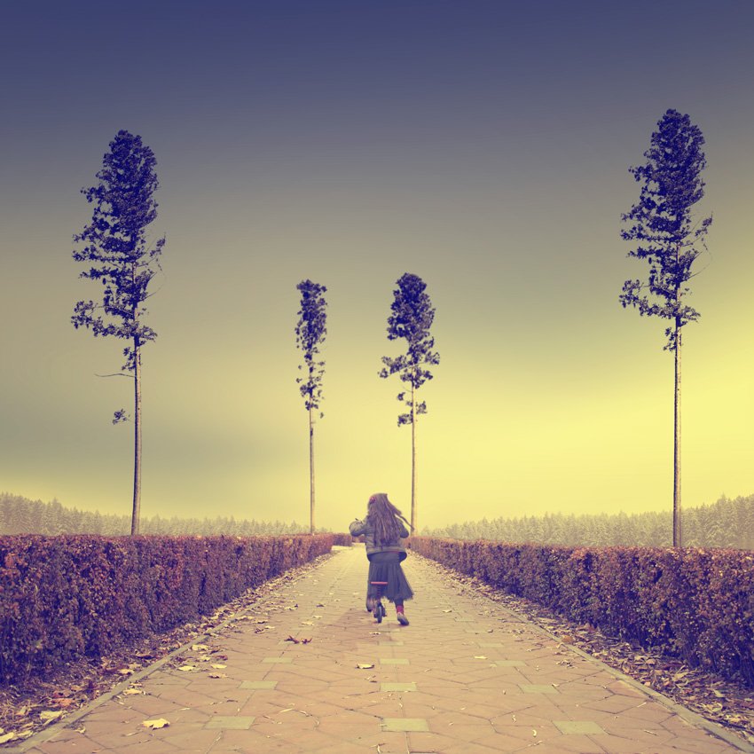 alice, girl, rolling, tree, bush, autumn, tree, forest, mounting, leaf, fall, warm, Caras Ionut