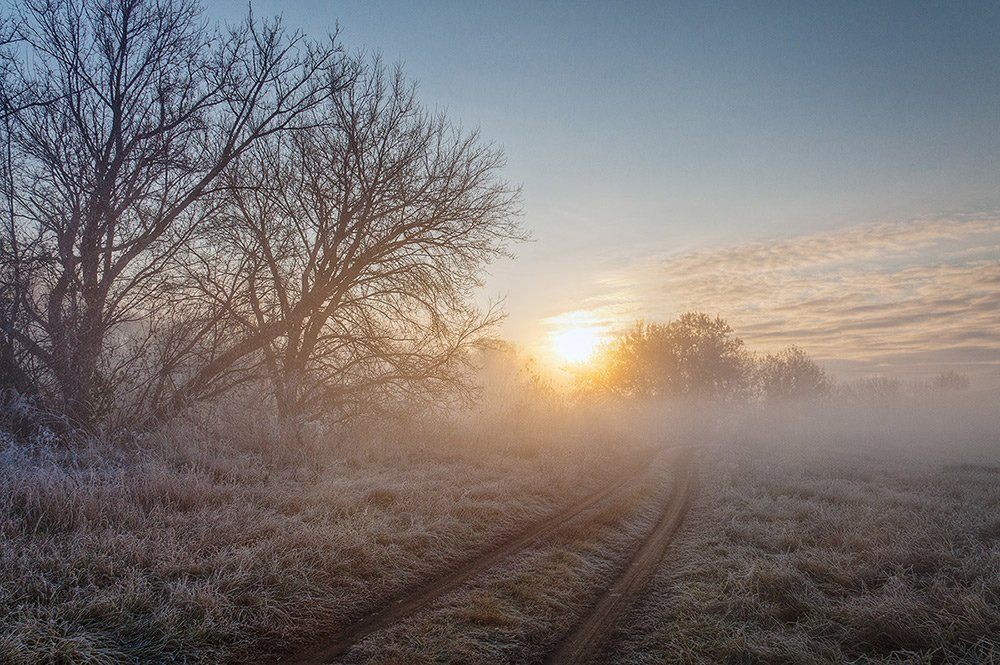 утро, осень, восход, туман, солнце, иней, Владимир Костылев