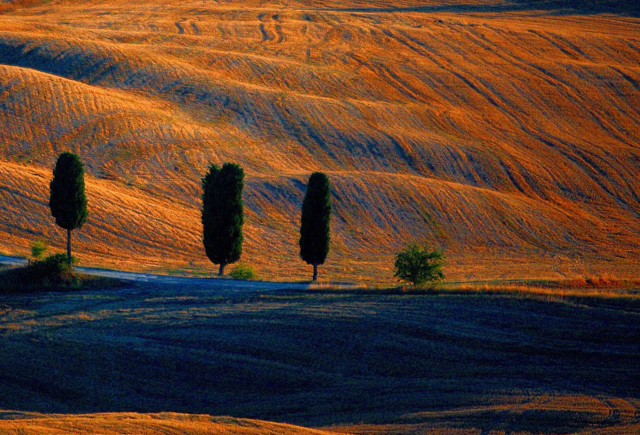 tuscany,italy,landscape,, Jacek