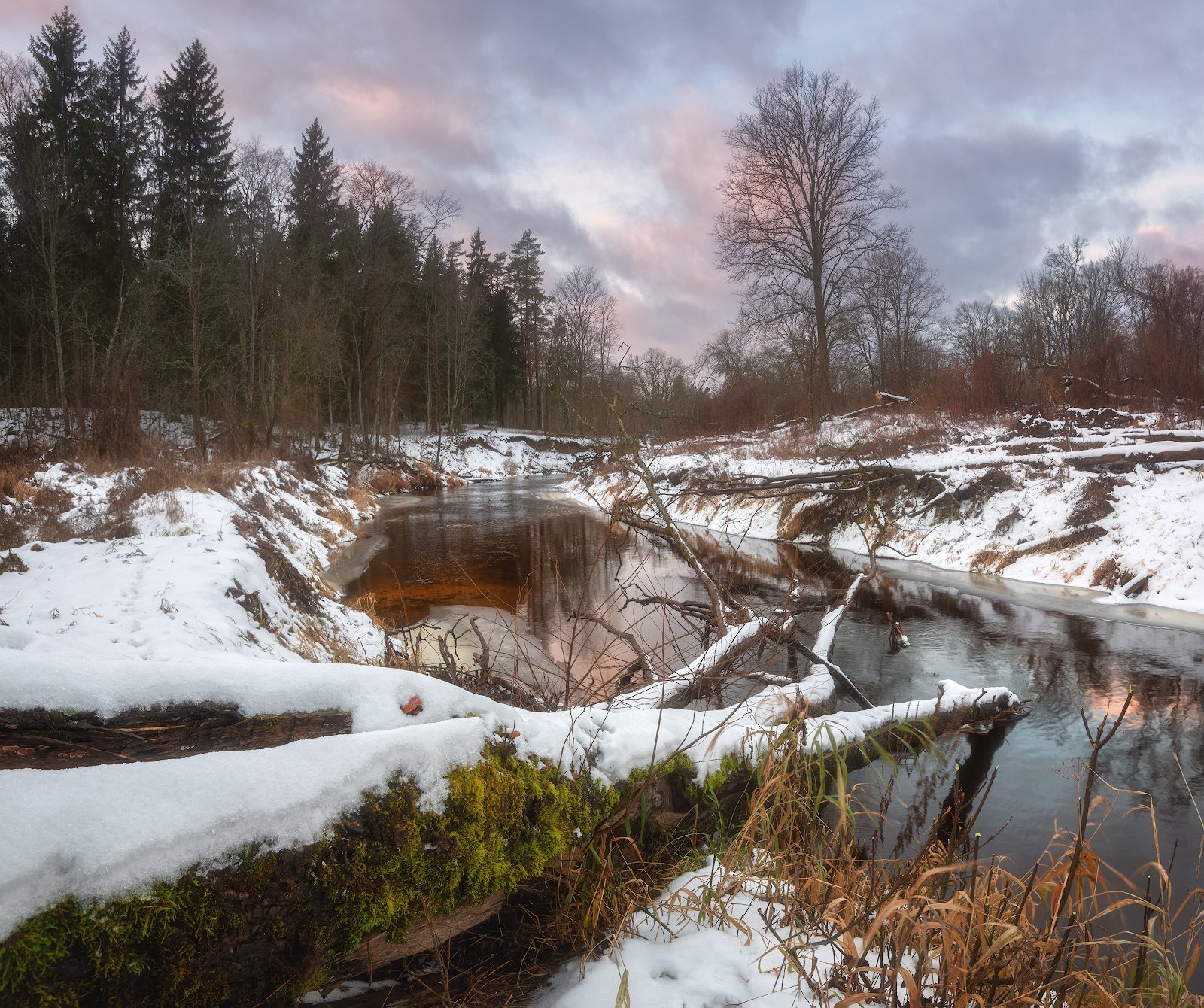 пейзаж зима снег оттепель река латвия, Алексей Мельситов