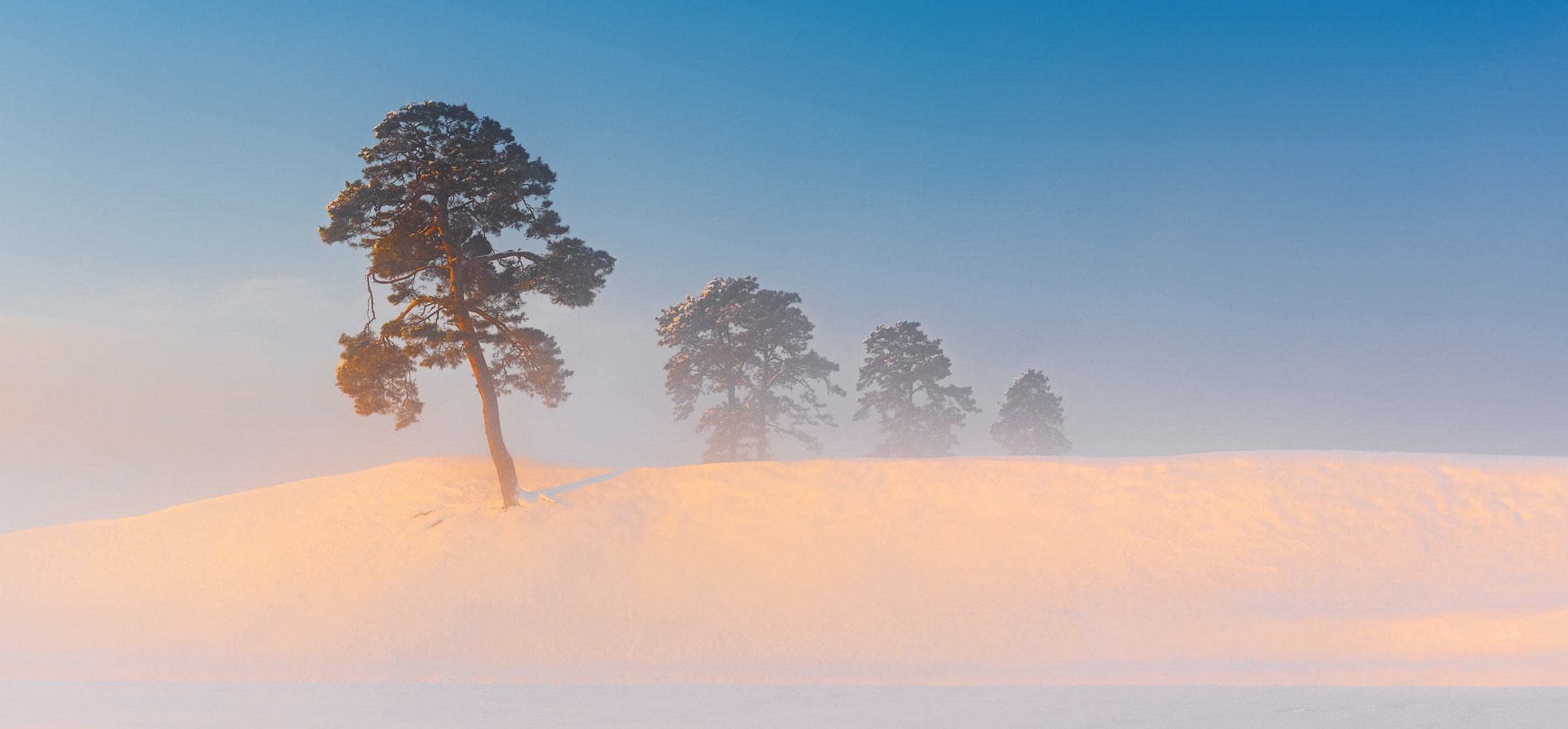 panorama, hill, sunrise, winter, snow, Jaeyoun Ryu