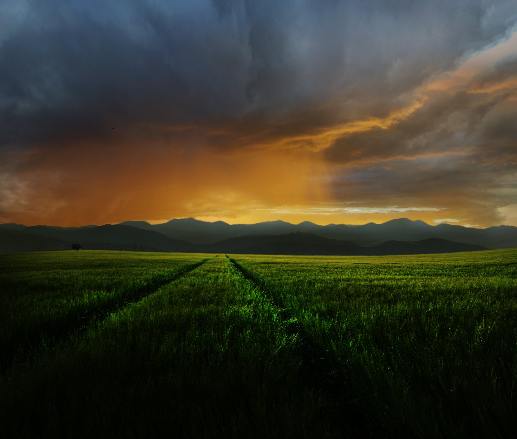 grass,field,sun, clouds,mountains, Mindaugas Žarys