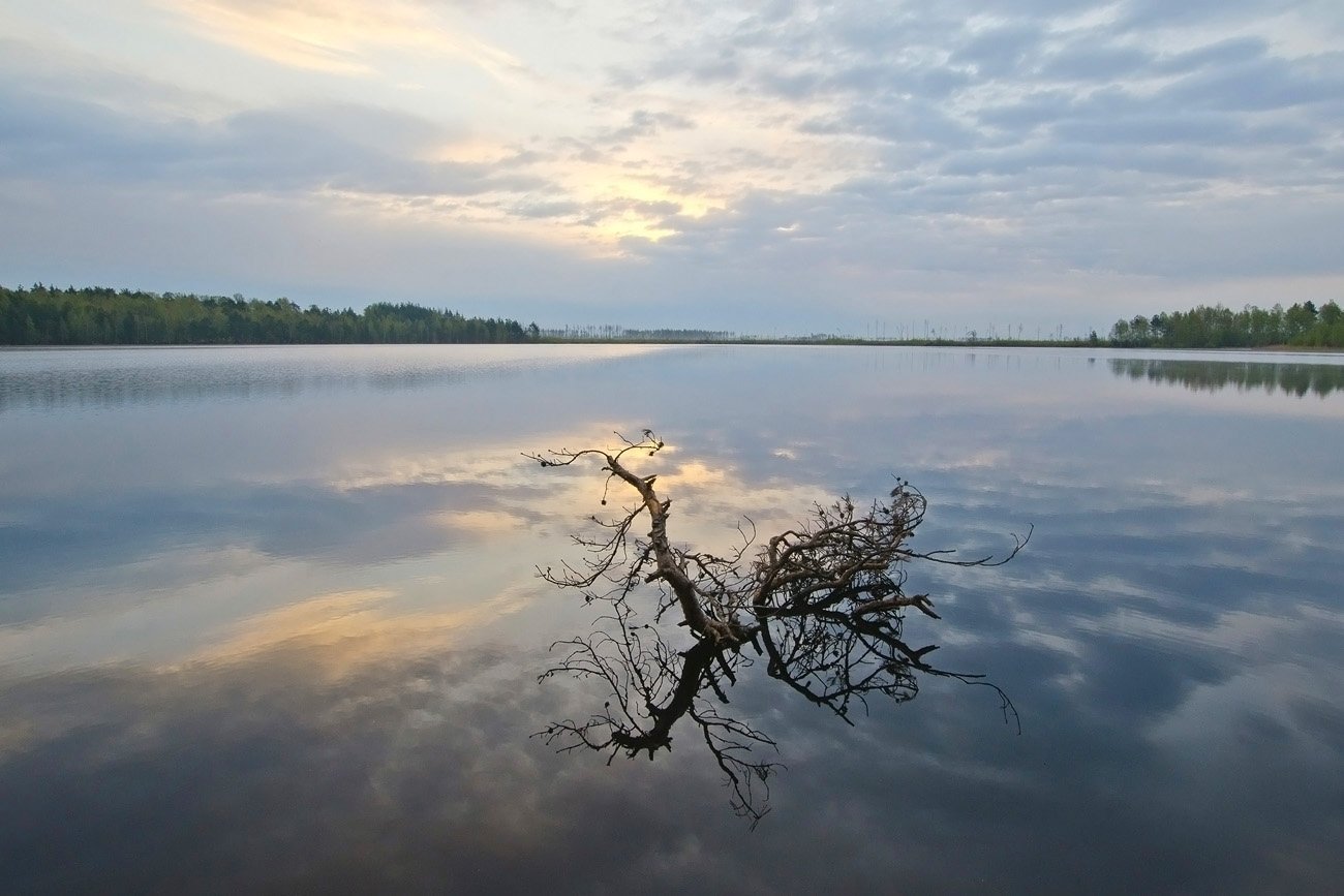 озеро, ласковое, пейзаж, Михаил Агеев