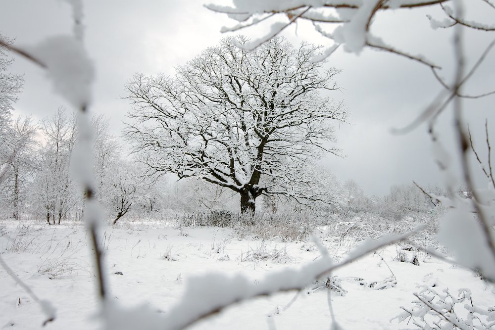 зима, пейзаж, окошко, Aleksandr Kljuchenkow