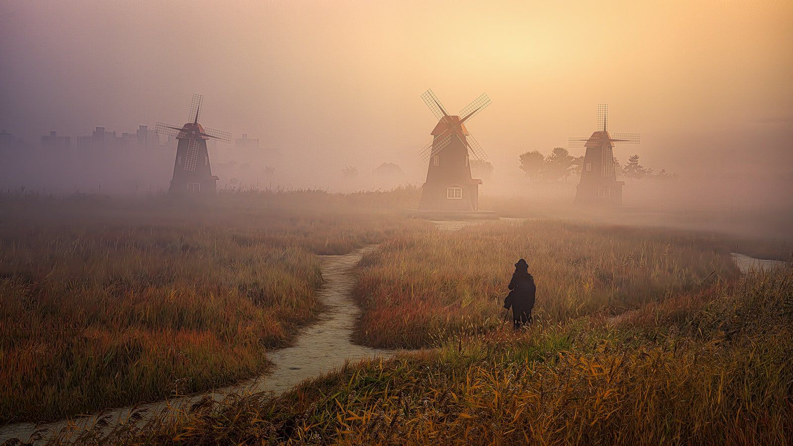 fog landscape woman windmill forest sunrise morning Korea misty, Seo Tiger