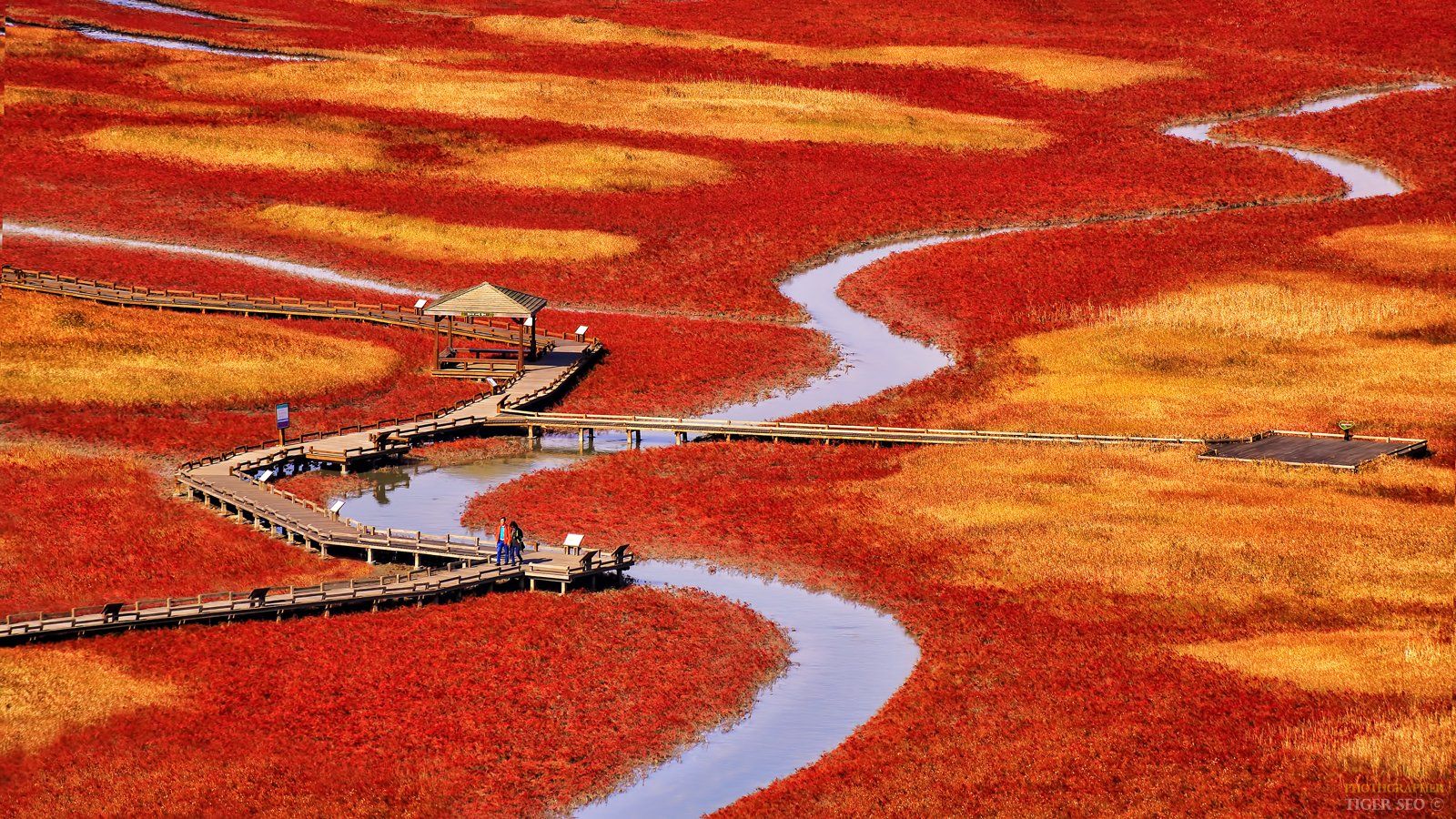 salt pond landscape Korea red stream water , Seo Tiger