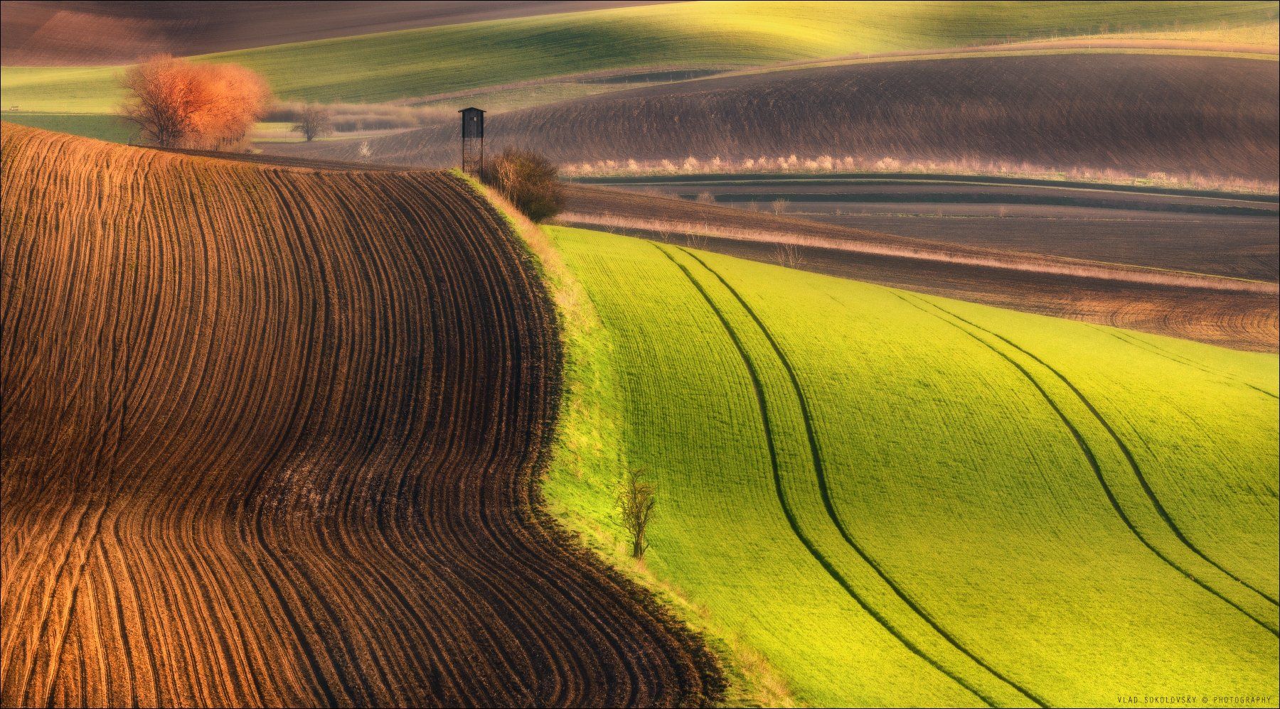 чехия, южная моравия, фототур, south moravia, czech, фототуры 2019, фототур в южную моравию, south moravian landscape, авторский фототур, влад соколовский,фототуры по европе, Влад Соколовский