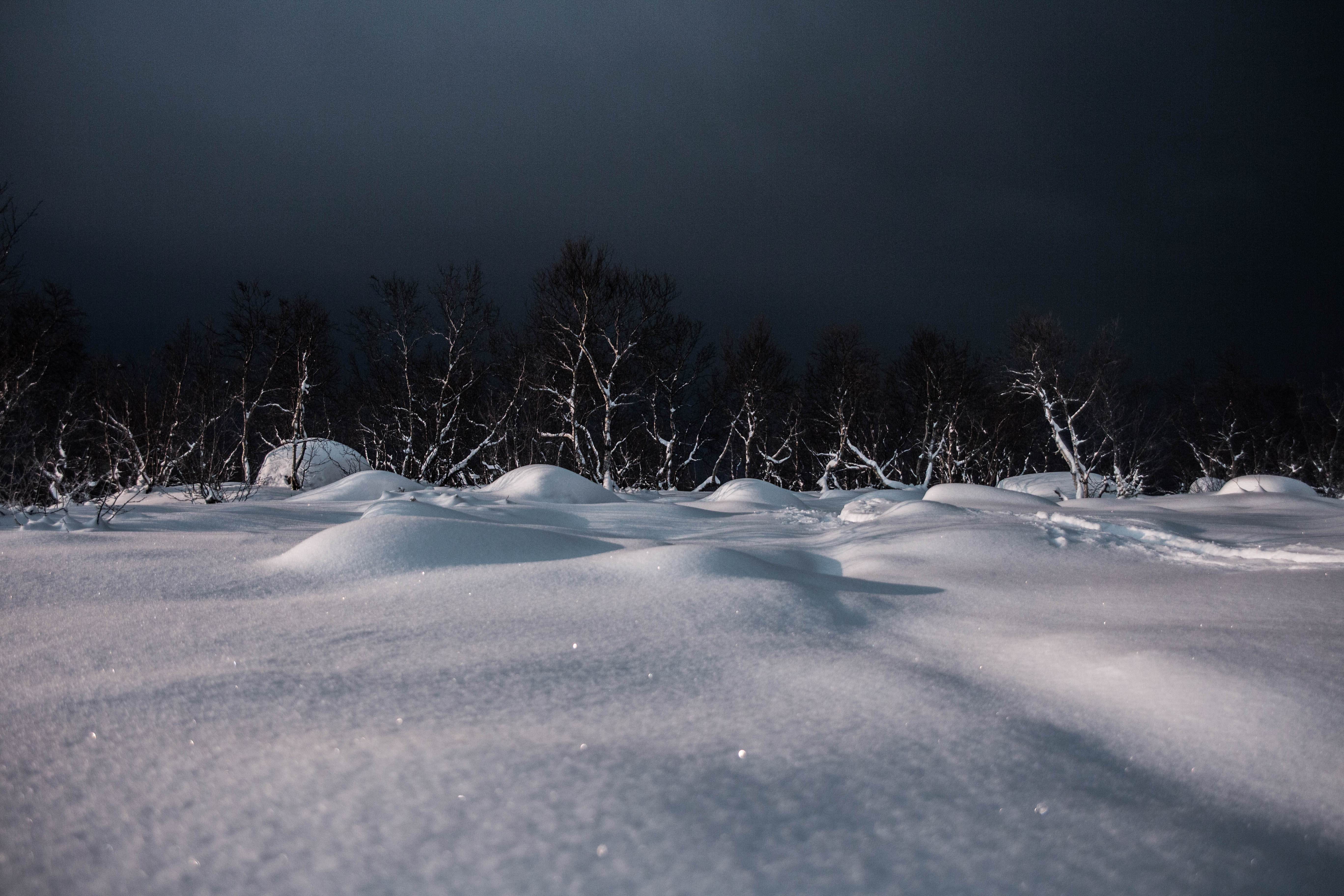 ночь, облачно, деревья, сопки, пейзаж, снег, зима, Алёна Салтыкова