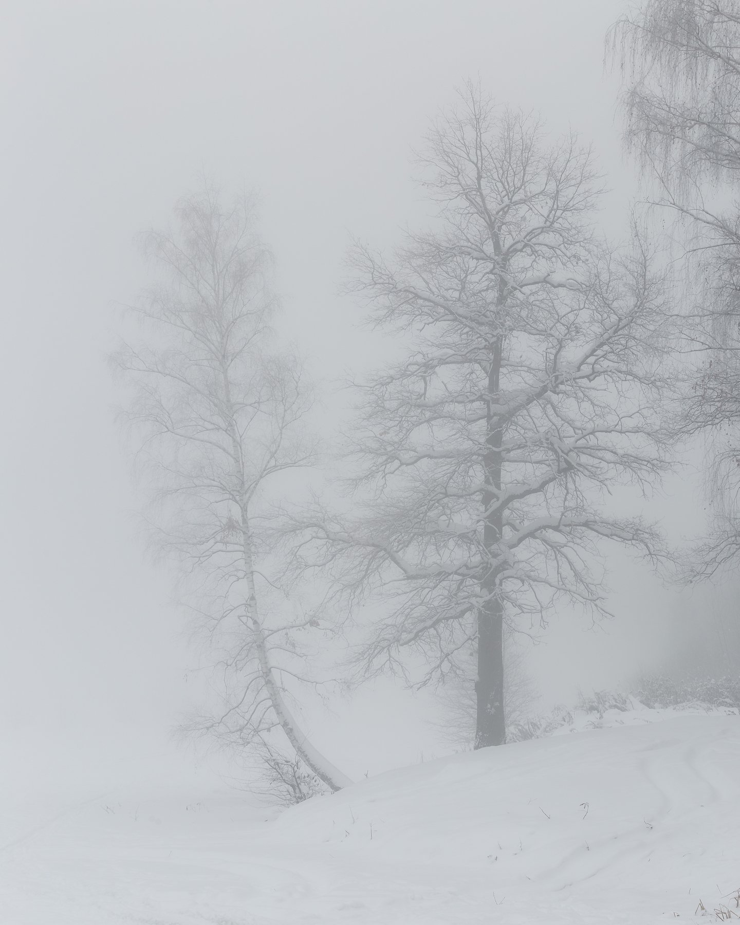 пейзаж, зима, туман, природа, Мартыненко Дмитрий