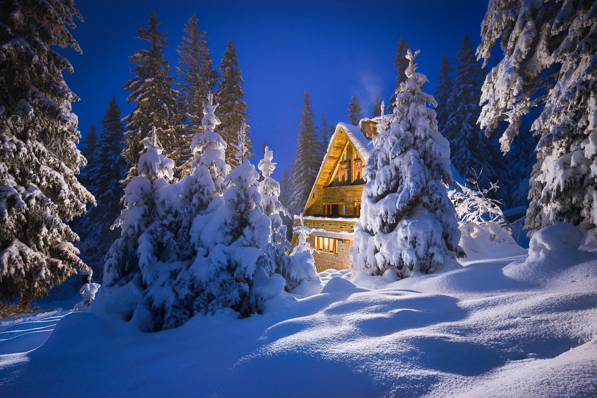 hut, forest, winter, bulgaria, mountain, Калин Панчев