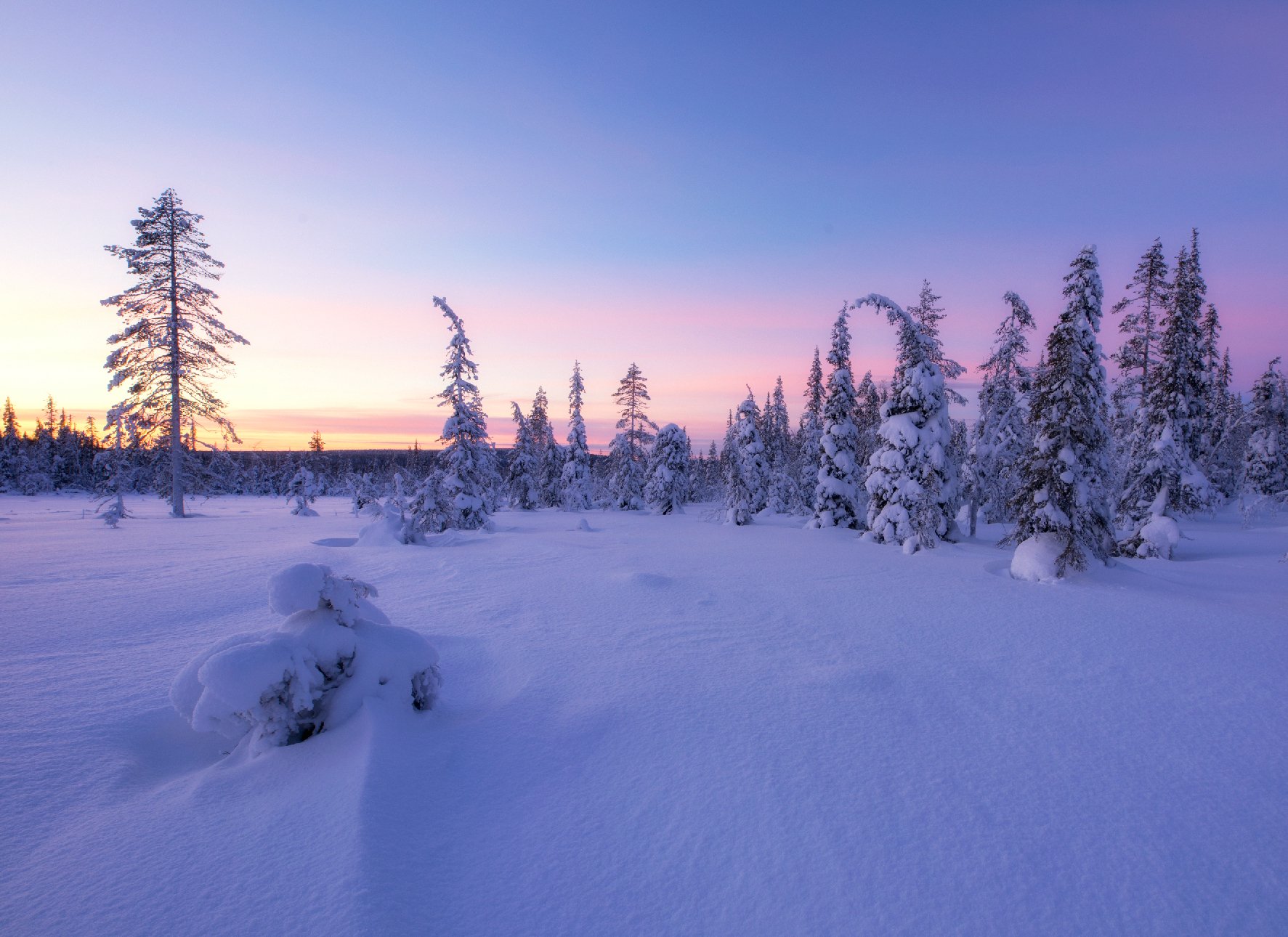 lapland, finland, winter, sunset, Сергей Луканкин