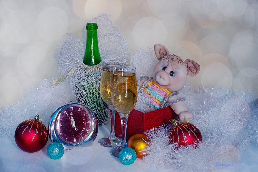 новый год , свинка , игрушка , шампанское , вера павлухина ,, Вера  Павлухина