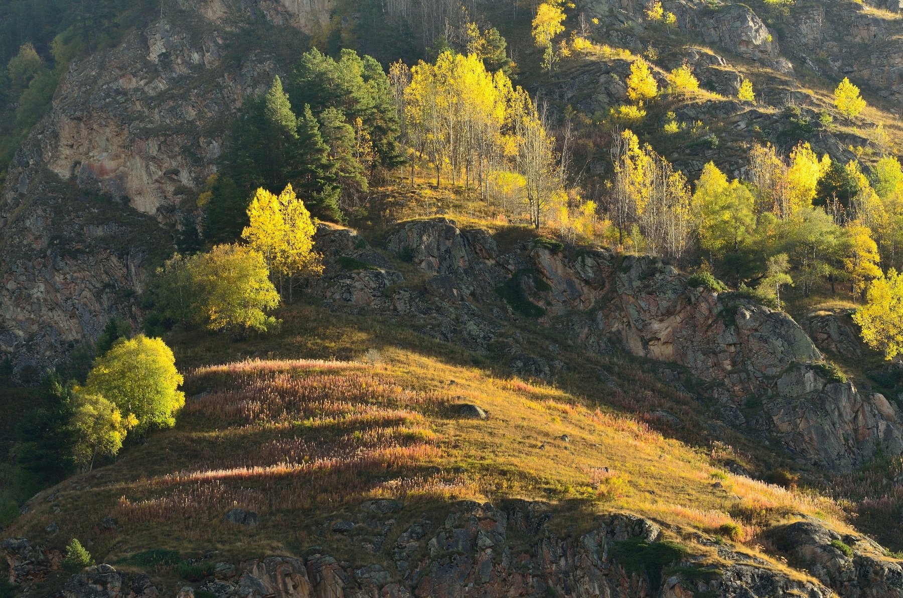 горы осень уллу-кам, Александр Жарников