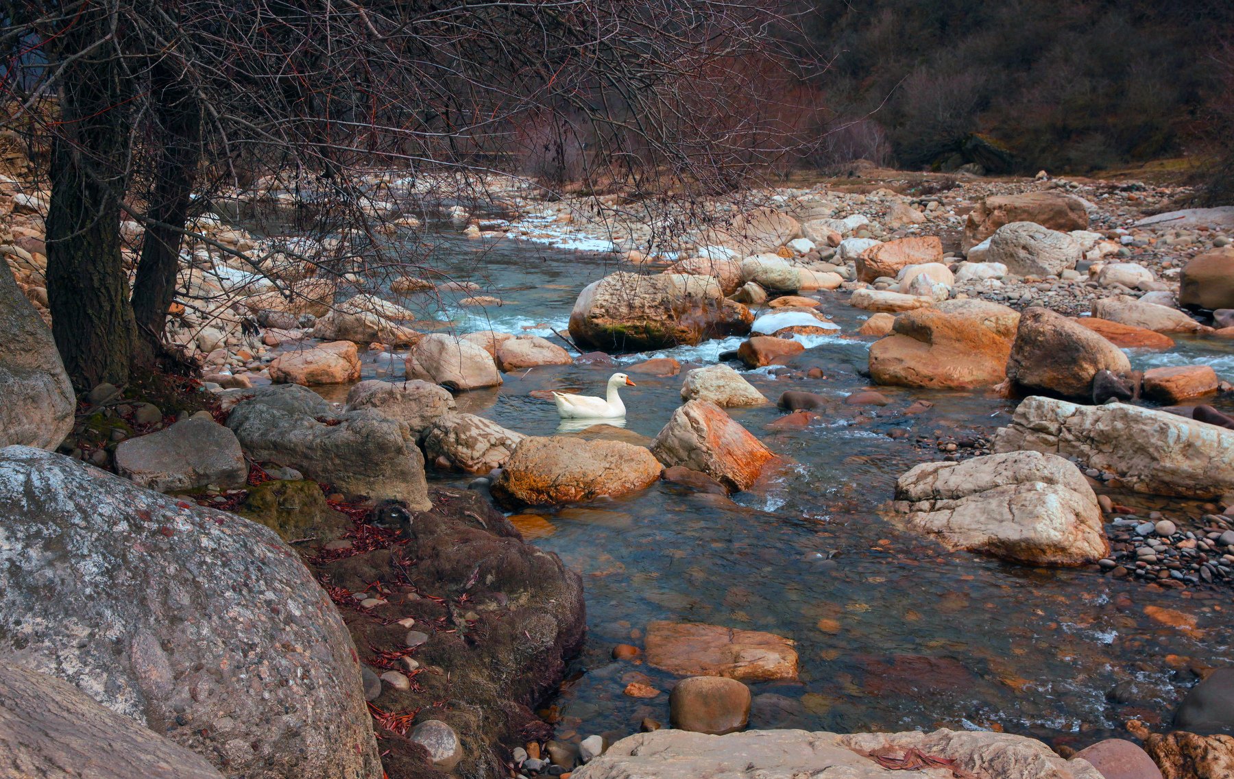 горы,осень,природа,дагестан,река,, Marat Magov