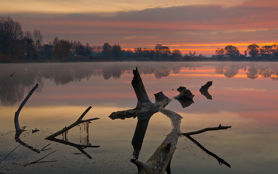 sunrise, lake, tree, myst, Philip Peynerdjiev