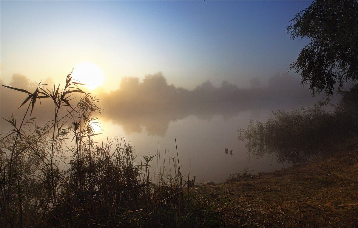 река, утро, туман, Сергей
