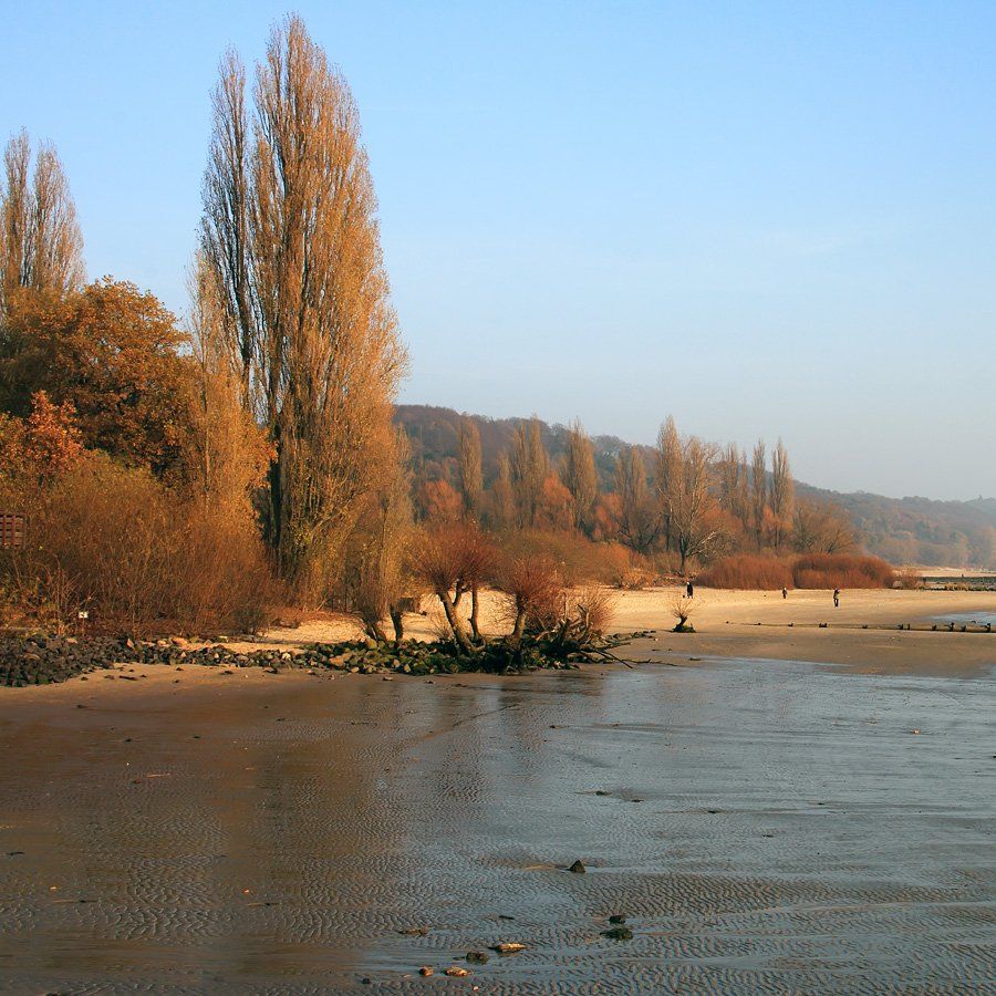 германия,берег, река,осень, Игорь Дубровский