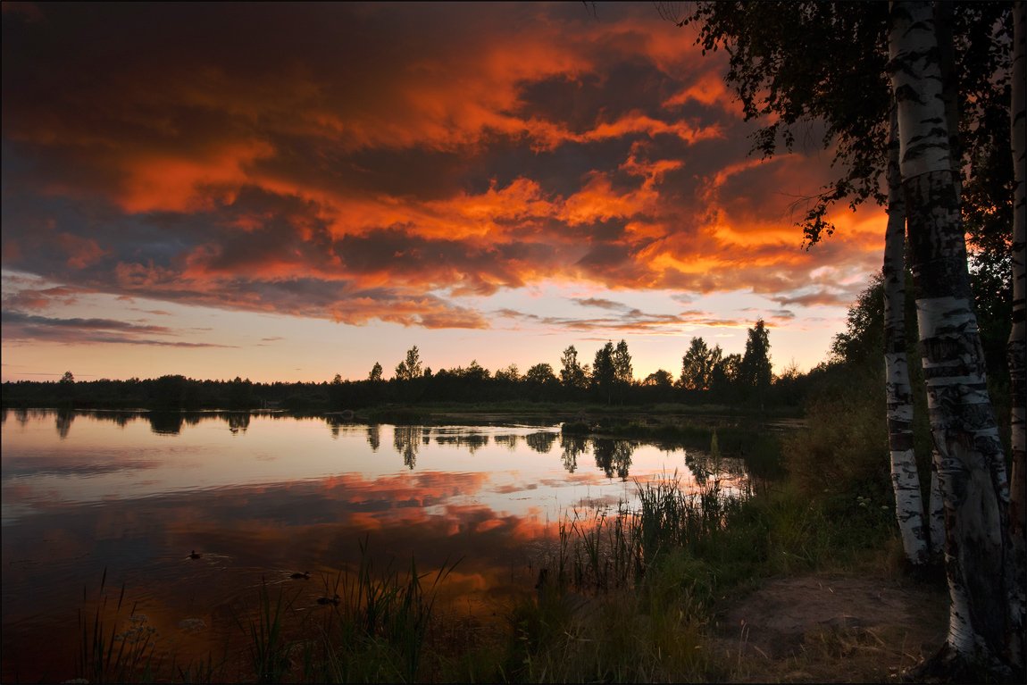 , Аркадий Белов