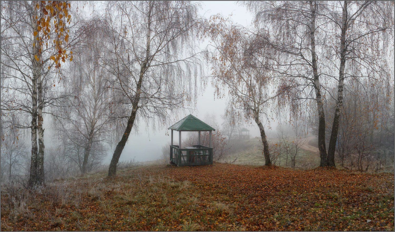 туман, беседка, осень, wwwarjag