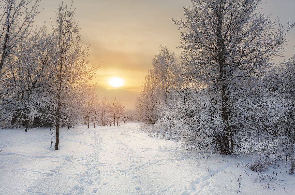 вечер, закат, солнце, зима, снег, иней, заснеженный, Алексей Черепанов