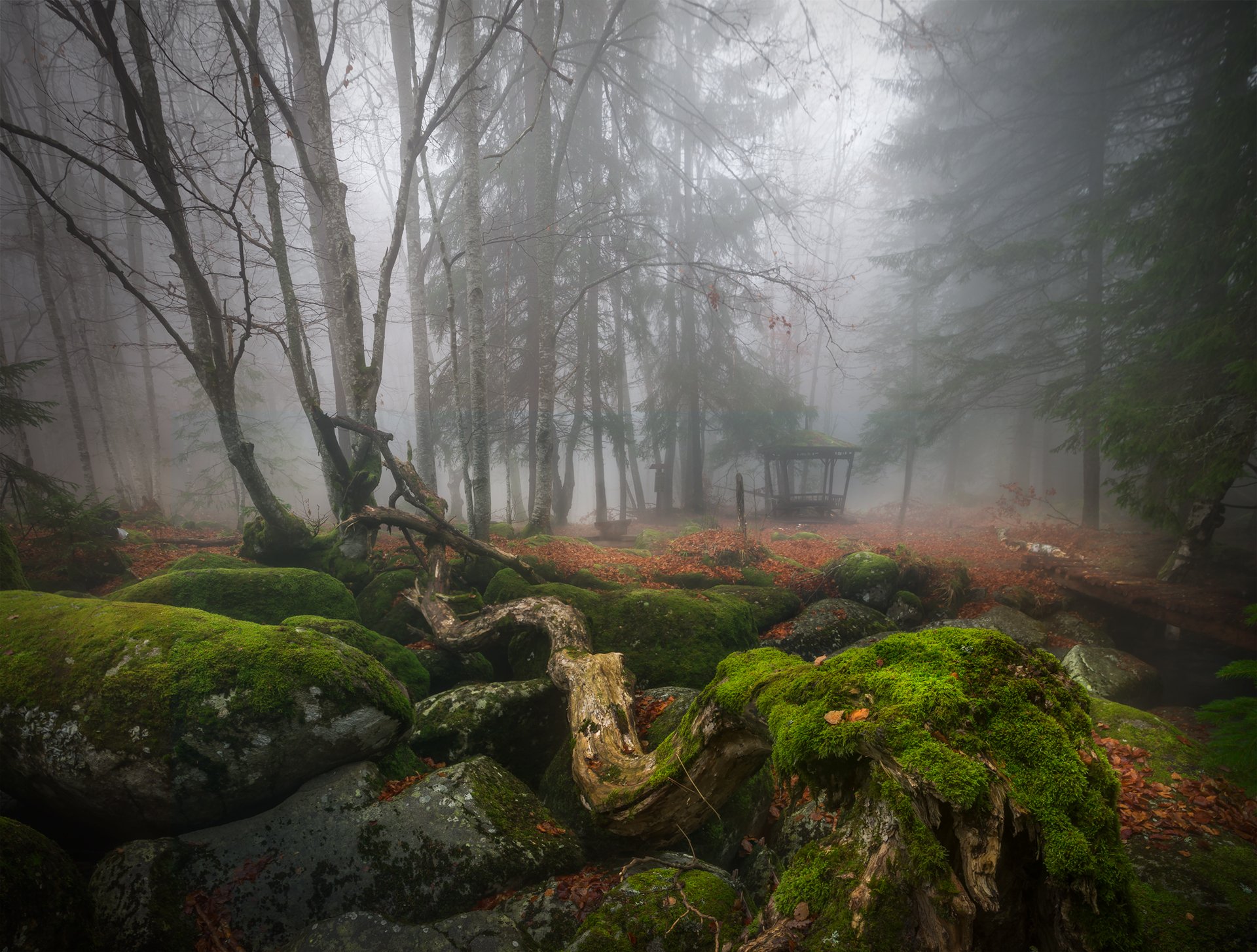 landscape nature scenery forest wood autumn mist misty fog foggy river longexposure mountain rocks vitosha bulgaria туман лес oсень, Александър Александров