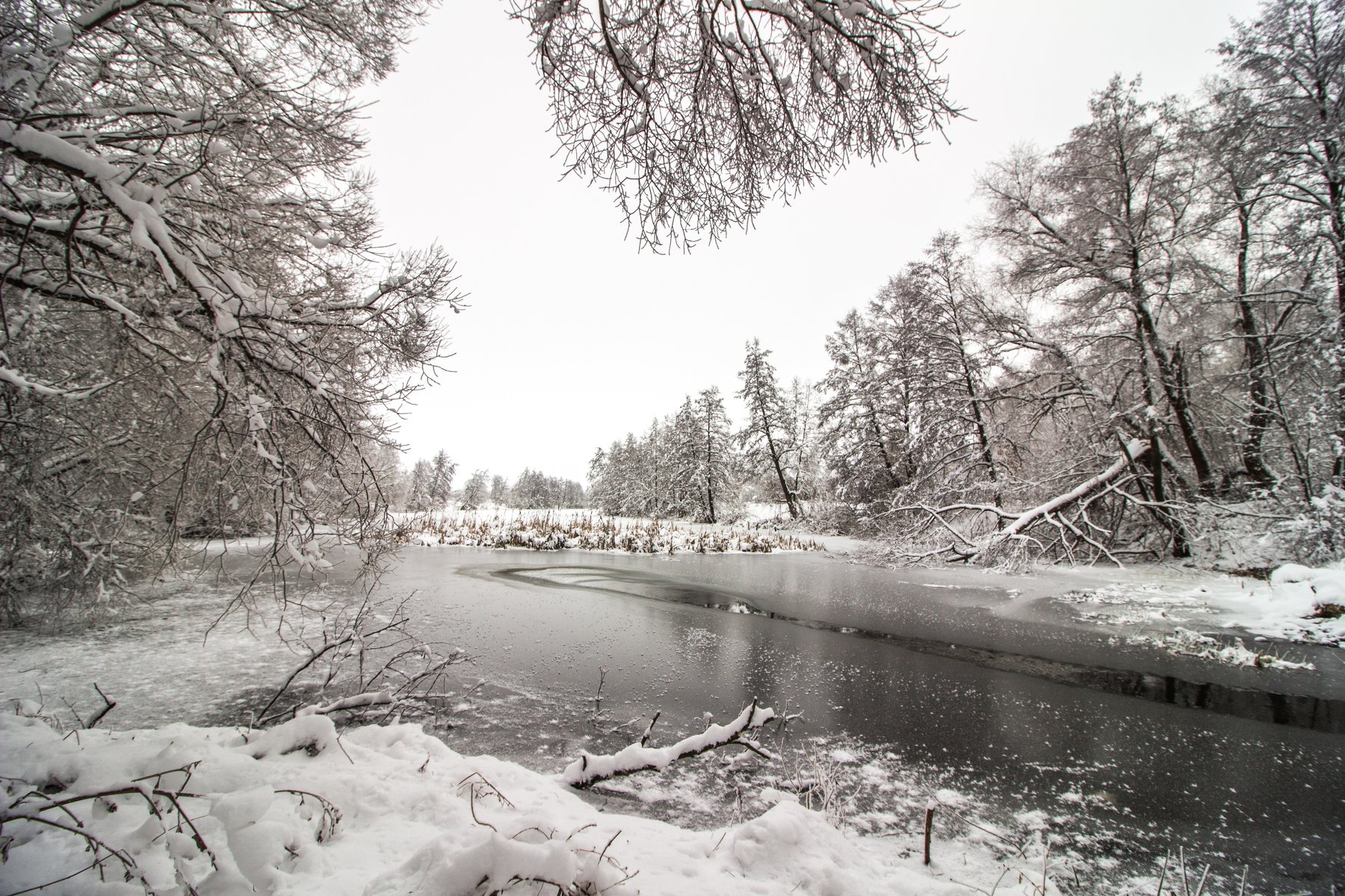зима, лес, река, озеро, вода, усмань, снег, Руслан Востриков
