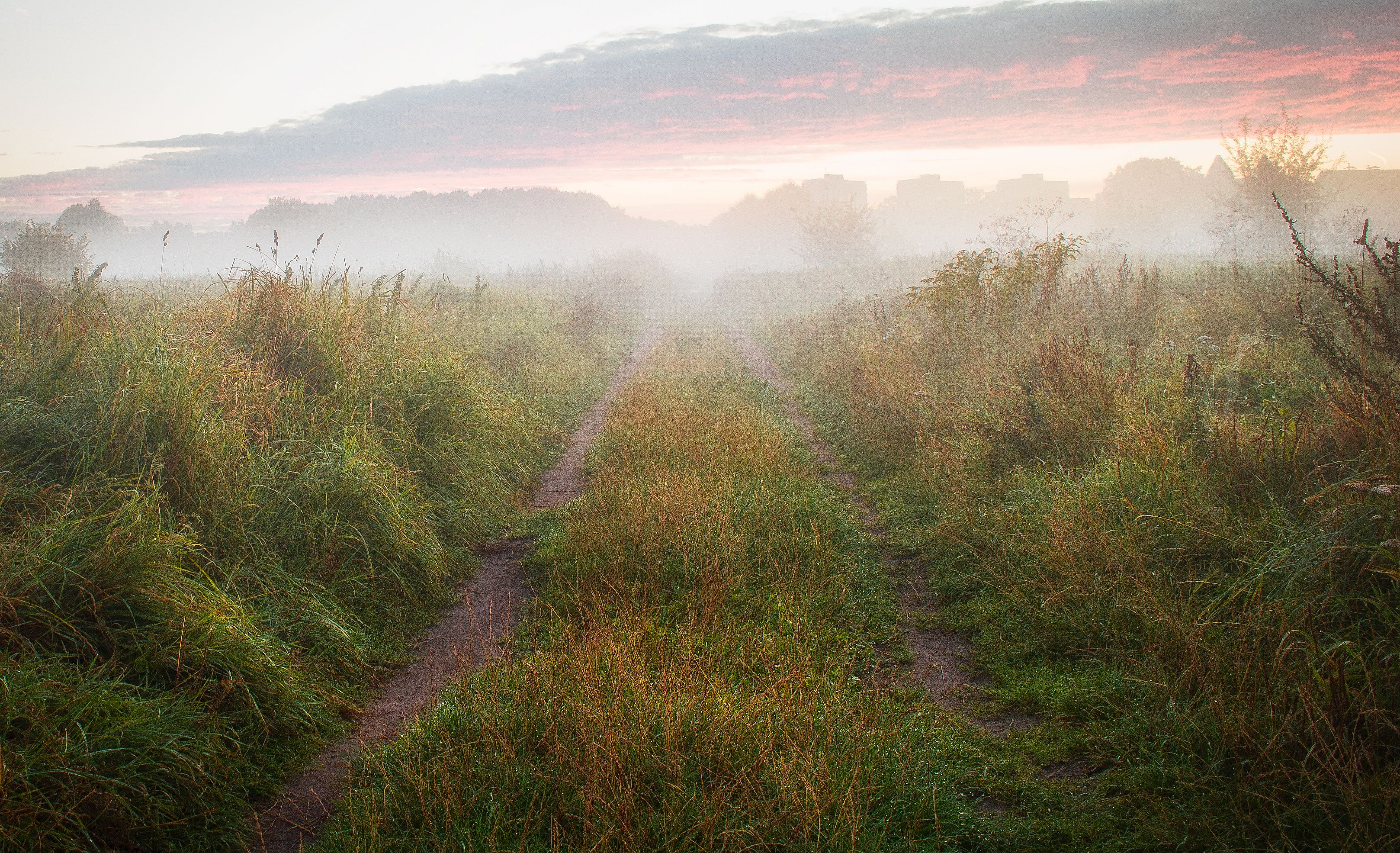 fog,autumn,nature,sky,landscape,nikon,clouds,road,mist,light, Krzysztof Tollas