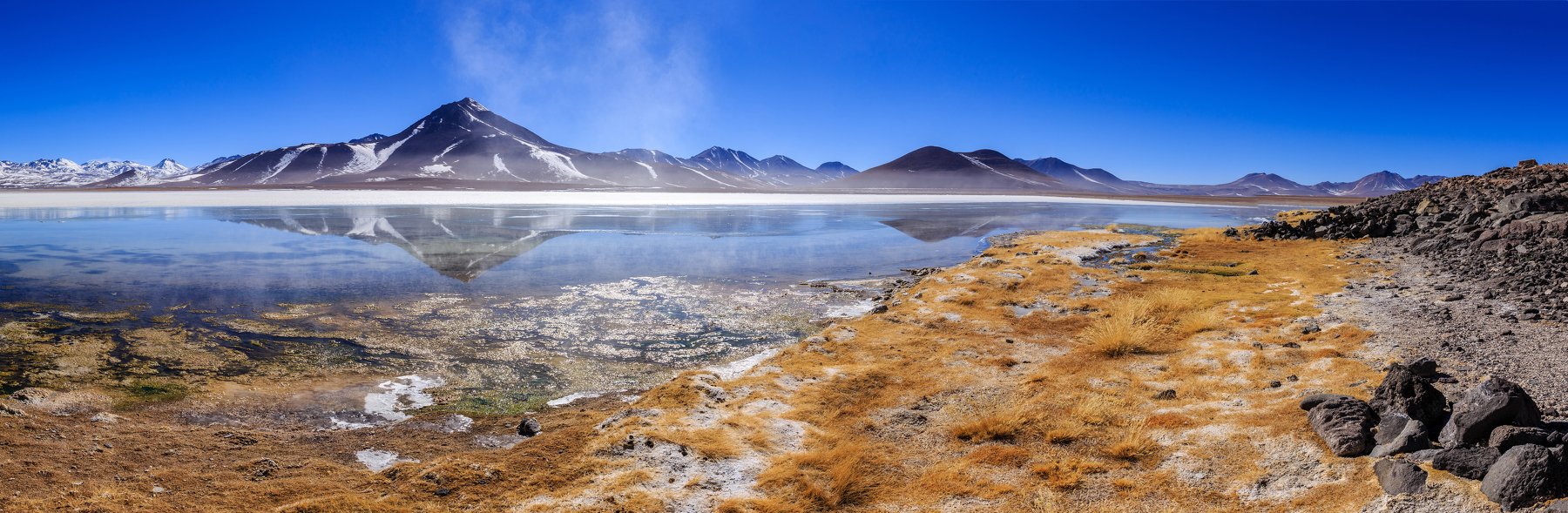 Bolivia, Altiplano, Laguna Blanca, Vitalis Vasylius