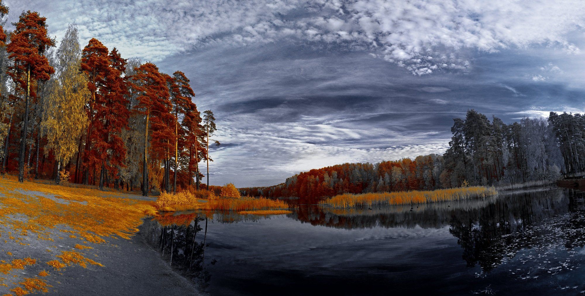 infrared,ик-фото,инфракрасное фото, инфракрасная фотография, пейзаж, природа, беларусь,осень, лес, озеро, Sixten ( Сергей )